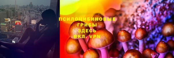 ПСИЛОЦИБИНОВЫЕ ГРИБЫ Армянск