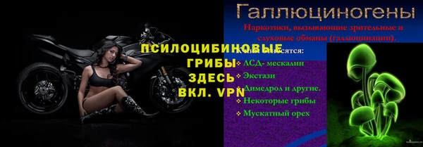 каннабис Арсеньев