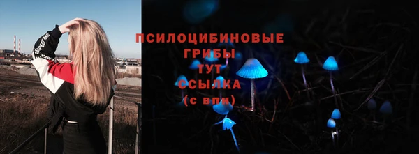 ПСИЛОЦИБИНОВЫЕ ГРИБЫ Армянск
