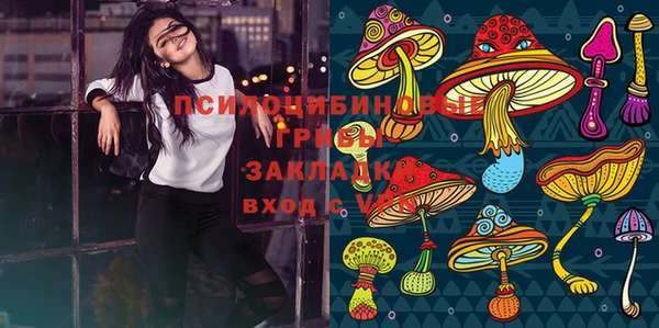 ПСИЛОЦИБИНОВЫЕ ГРИБЫ Армянск